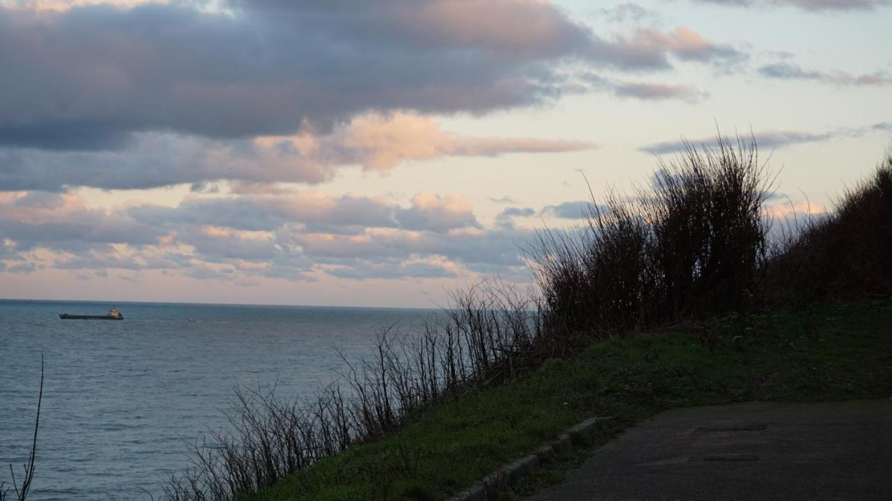 Les Falaises
